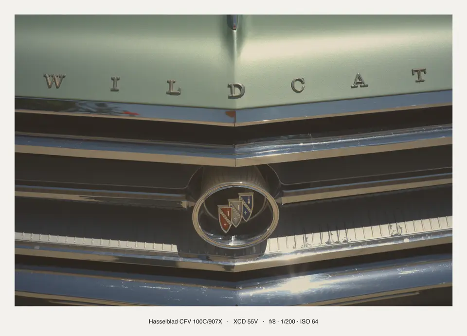 Wildcat script and the Buick tri-shield